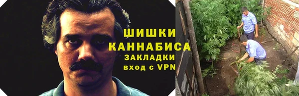 ПСИЛОЦИБИНОВЫЕ ГРИБЫ Балахна