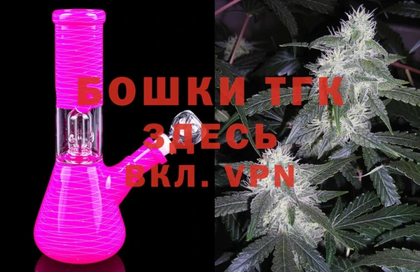 ПСИЛОЦИБИНОВЫЕ ГРИБЫ Баксан