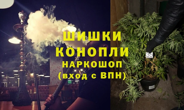 ПСИЛОЦИБИНОВЫЕ ГРИБЫ Баксан