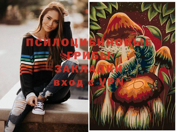 ПСИЛОЦИБИНОВЫЕ ГРИБЫ Балахна