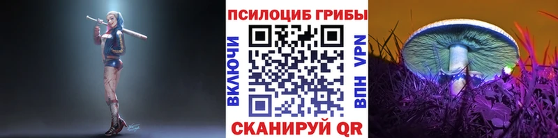 Галлюциногенные грибы Psilocybine cubensis купить закладку blacksprut как войти Бодайбо